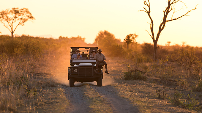 On a Singita Sabi Sand safari