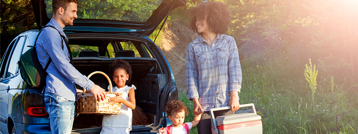family-picnic family-picnic