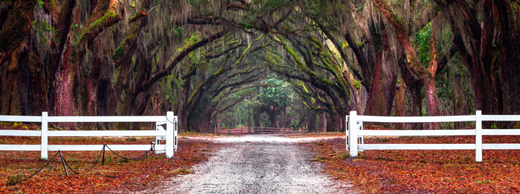 Wormsloe Historic Site Savannah, Georgia Wormsloe Historic Site Savannah, Georgia