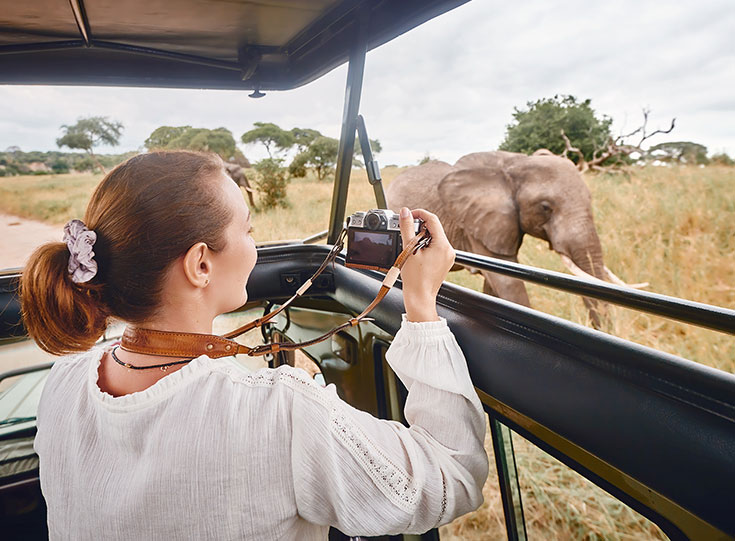 safari safari
