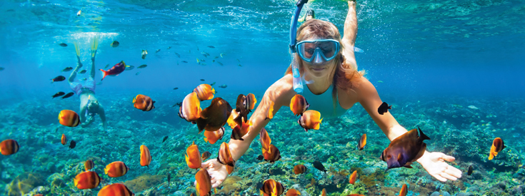 Snorkeler with orange fish in Oahu, Hawaii Snorkeler with orange fish in Oahu, Hawaii