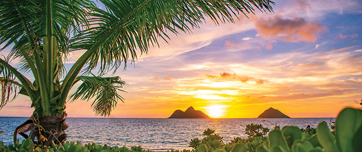 Tropical sunset Tropical sunset
