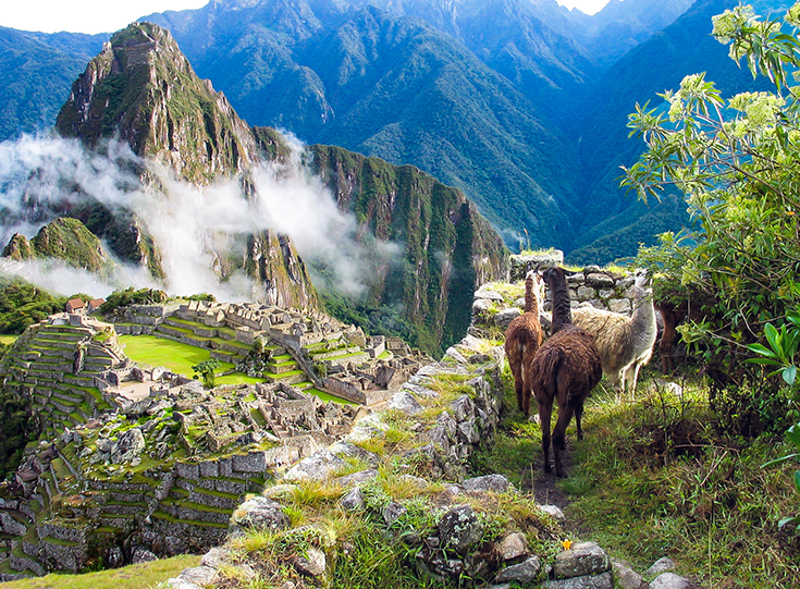 peru peru