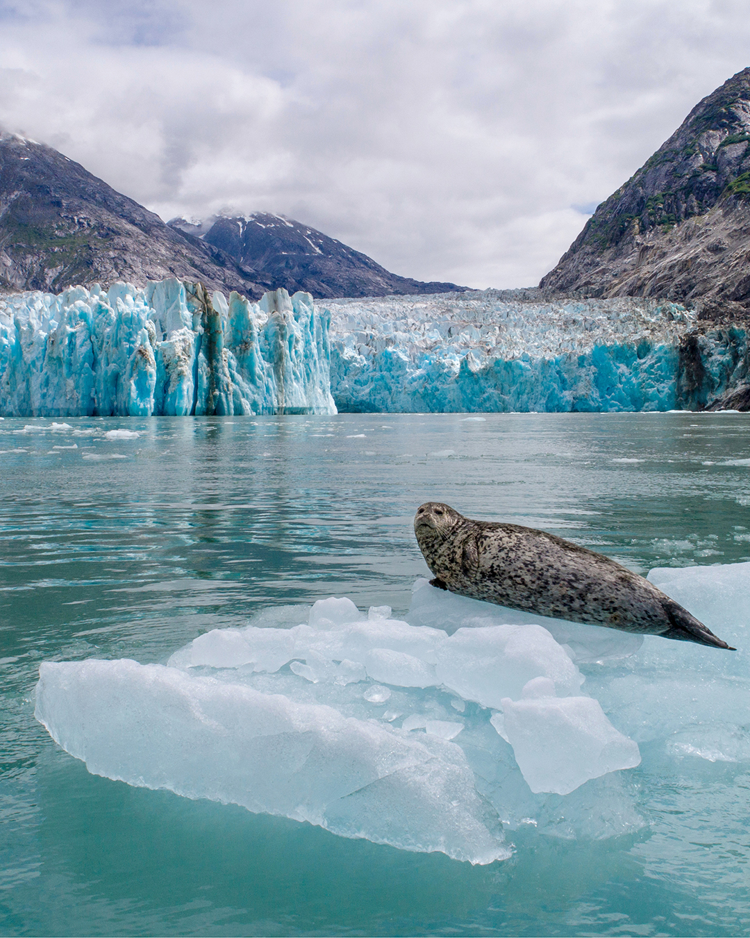 promo card image preview