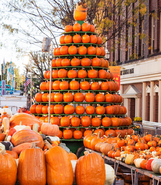 Piles of pumpkins on display.