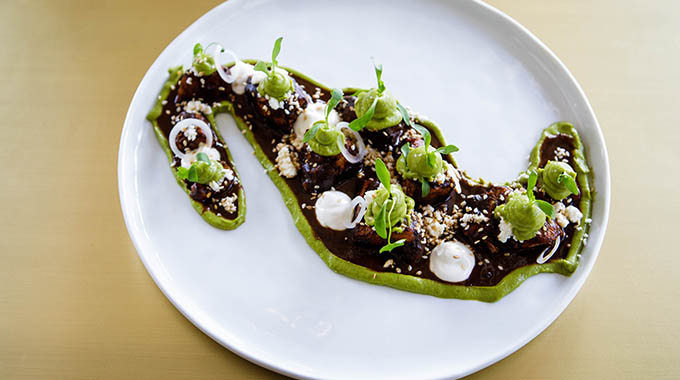 Chicken in mole sauce arranged in the shape of Mexico