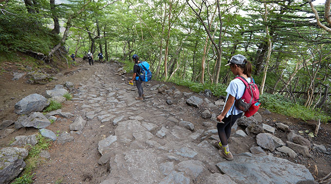 Descending Mount Fuji in the wooded area near Station 5. | Photo by Rob Andrew