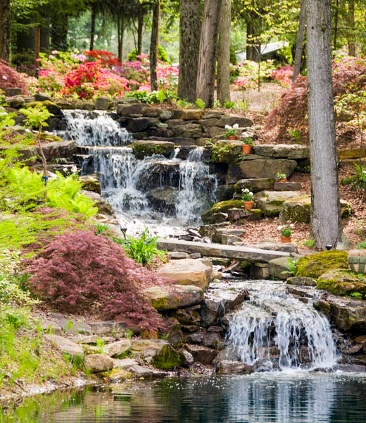 Azalea Path Arboretum & Botanical Gardens waterfall