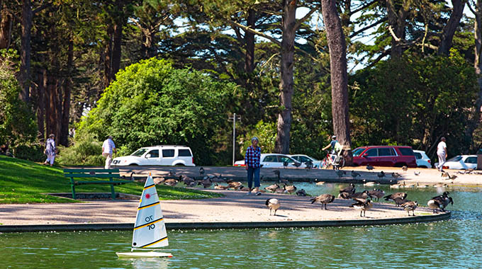 Golden Gate Park visitors sail model boats on Spreckels Lake. 