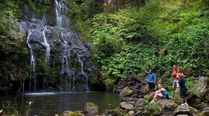 Tour guide leading a group of people on the Kohala Waterfalls Adventure