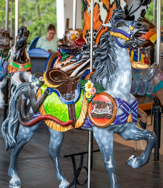 A carousel horse sporting a Louisville Zoo badge
