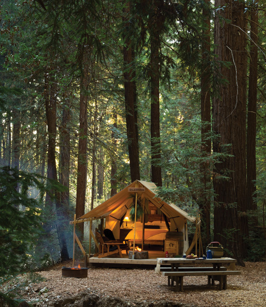 Glamping tent in the woods.